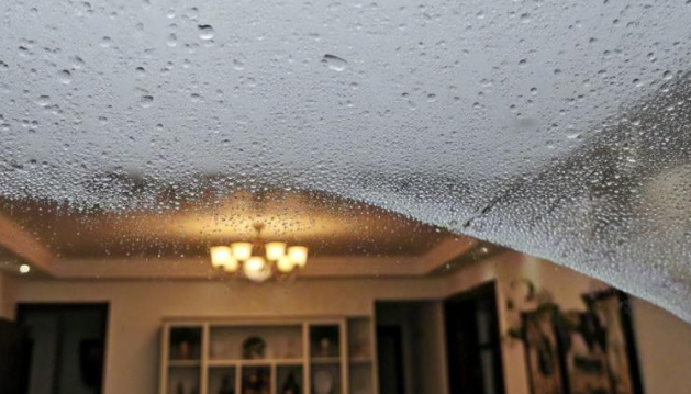 1752043275608242.png image.png